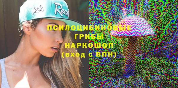 mix Надым